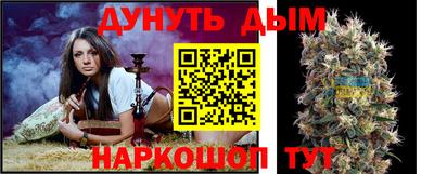 гашик Краснознаменск