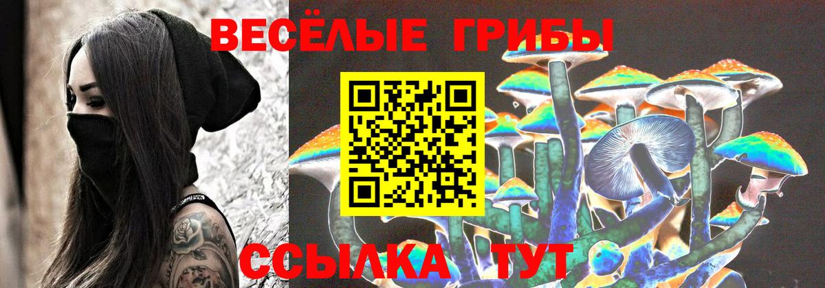 Галлюциногенные грибы Psilocybine cubensis Кудрово